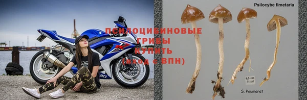крисы Приозерск