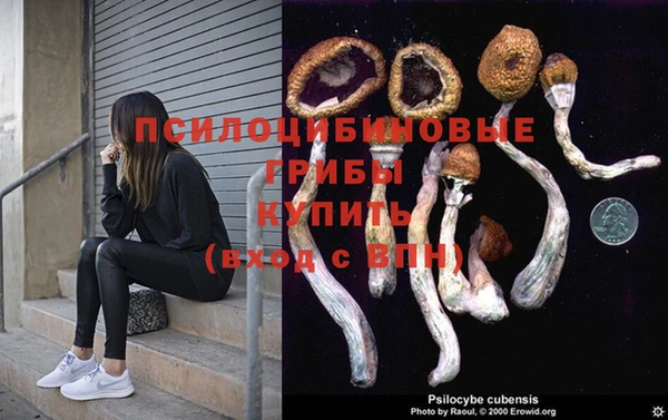 крисы Приозерск