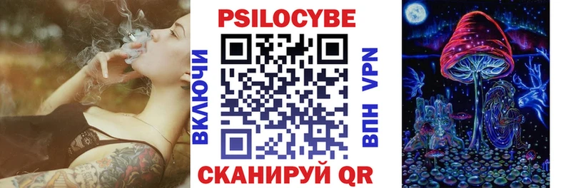 Псилоцибиновые грибы Psilocybe  Шахунья 